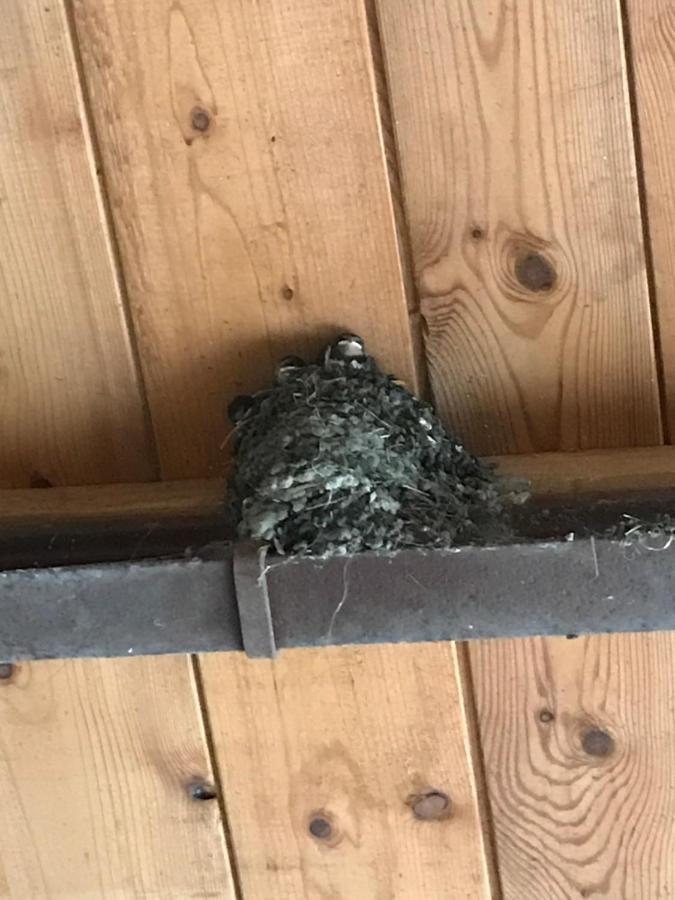 Hering Fewo II Apartment Balcony Wiek auf Rügen Екстериор снимка