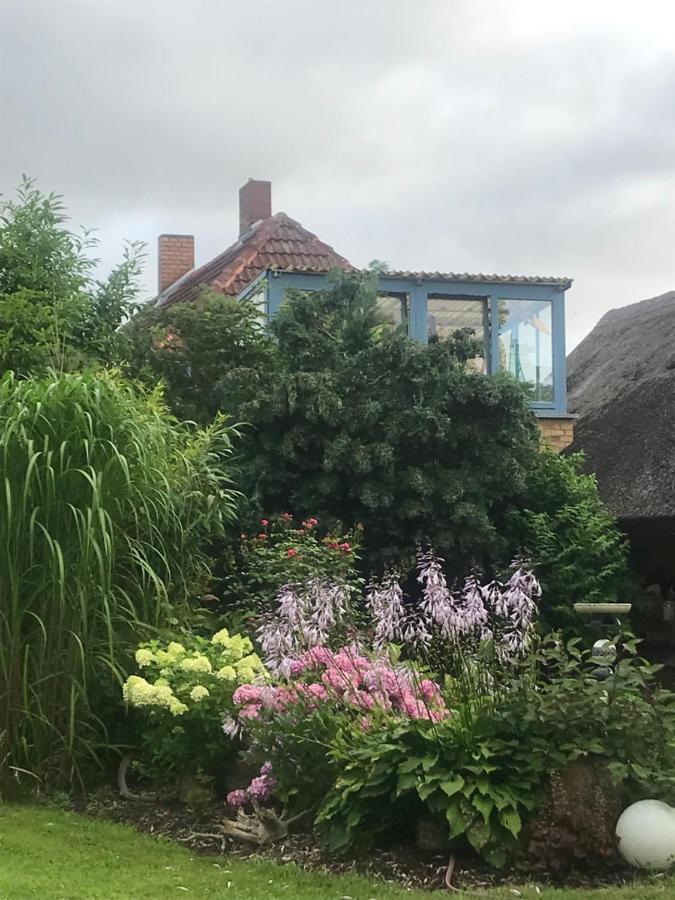Hering Fewo II Apartment Balcony Wiek auf Rügen Екстериор снимка